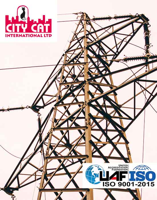 City Cat Electric Transmission Parts
