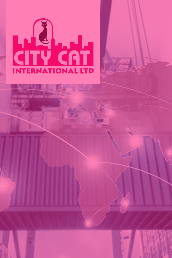  City Cat International Ltd Export House