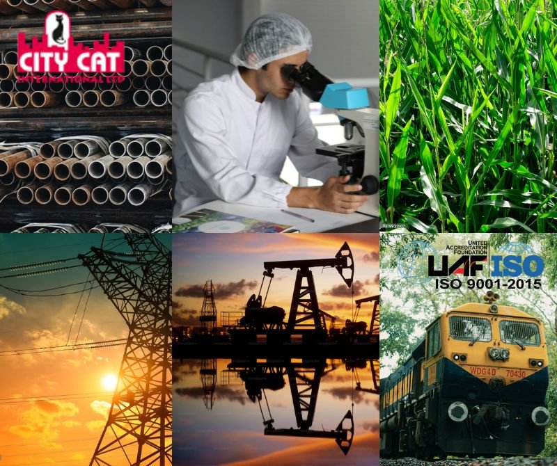 City Cat International limited export house india